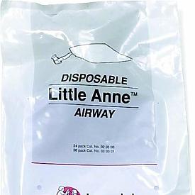 LITTLE ANNE AIRWAYS