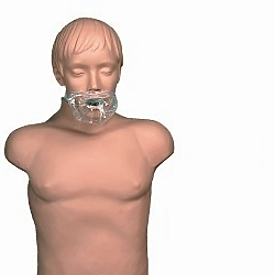 SANI-MAN ADULT MANIKIN