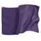 BEACH WARNING FLAGS PURPLE