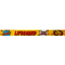 Comic Book Lifeguard Lanyard