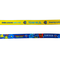 WLSL Lanyard
